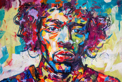 220 gsm 棉布上的“JIMI”高分辨率 Giclée 印花